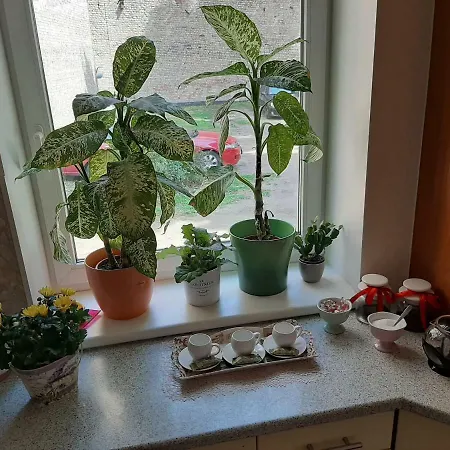 Private House City Centre בית נופש *