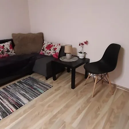 Private House City Centre בית נופש ריגה